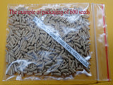 You are purchasing fresh seeds of Adenium obesum Kaleidoscope