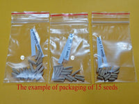 You are purchasing fresh seeds of Adenium KO_ebay301